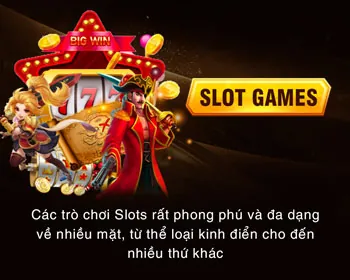 Giới thiệu sản phẩm thể thao Betvision